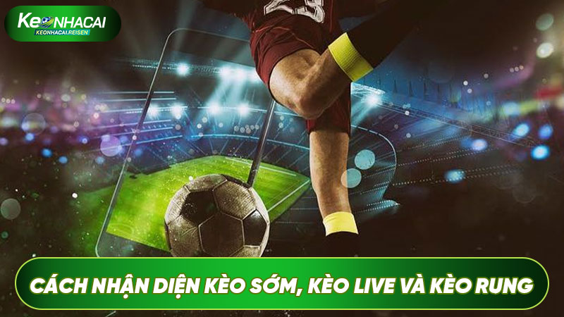 Cách nhận diện và mẹo chọn kèo sớm, kèo live và kèo rung
