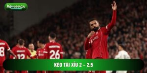 Kèo Tài Xỉu 2 – 2.5 – Hướng Dẫn Cách Đọc Và Mẹo Soi Kèo Chuẩn
