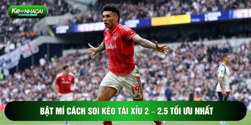 Bật mí cách soi kèo tài xỉu 2 – 2.5 tối ưu nhất