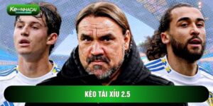 Kèo Tài Xỉu 2.5 – Bí Quyết Đọc Vị Và Mẹo Đặt Cược Thông Minh