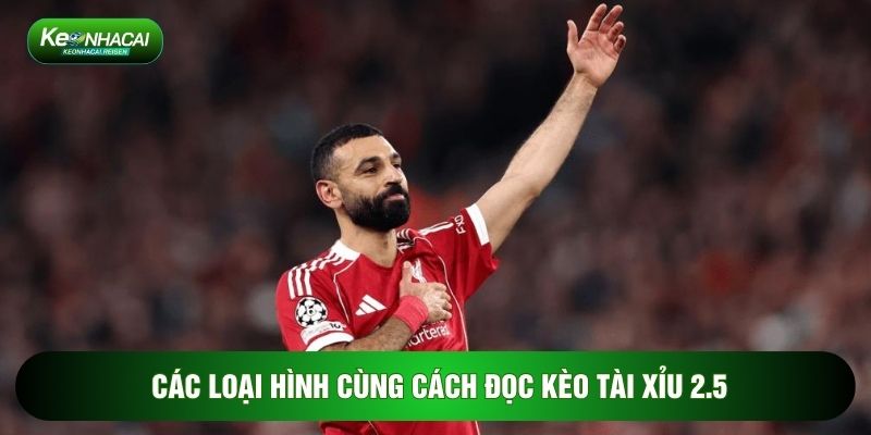 Các loại hình cùng cách đọc kèo tài xỉu 2.5