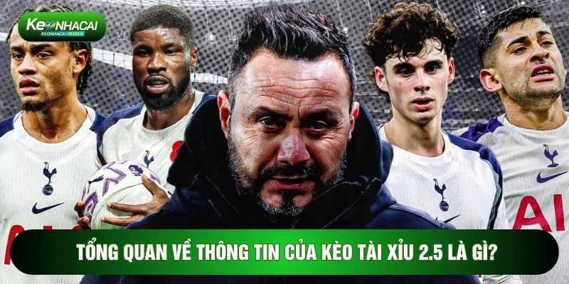 Tổng quan về thông tin của kèo tài xỉu 2.5 là gì?