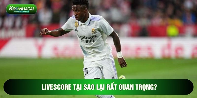 Livescore 1 Livescore tại sao lại rất quan trọng?