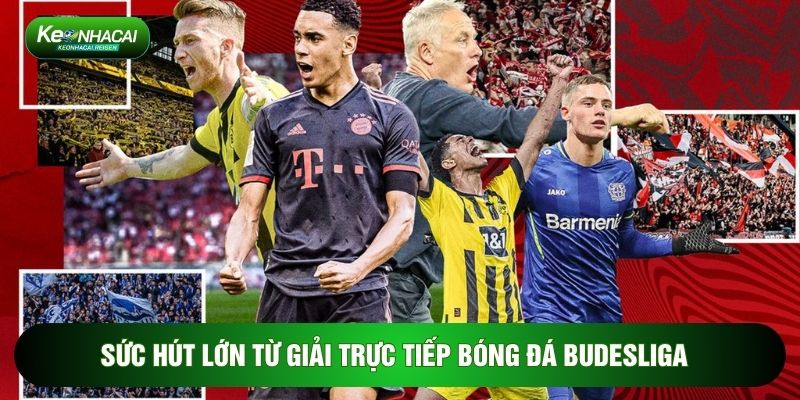 Sức hút lớn từ giải trực tiếp bóng đá Budesliga